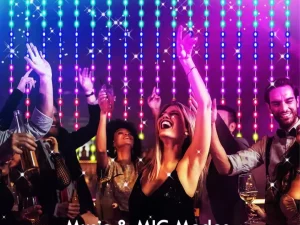 LED Light Curtain w/ Music mode plus Remote