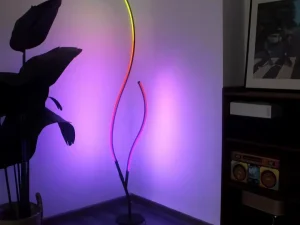 Standing LED Art Lamp