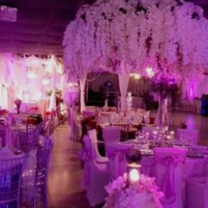 Pink Party Room Full