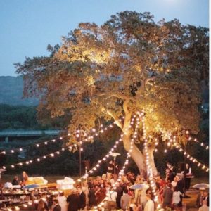 Screenshot_20250714_112451_Samsung Internet